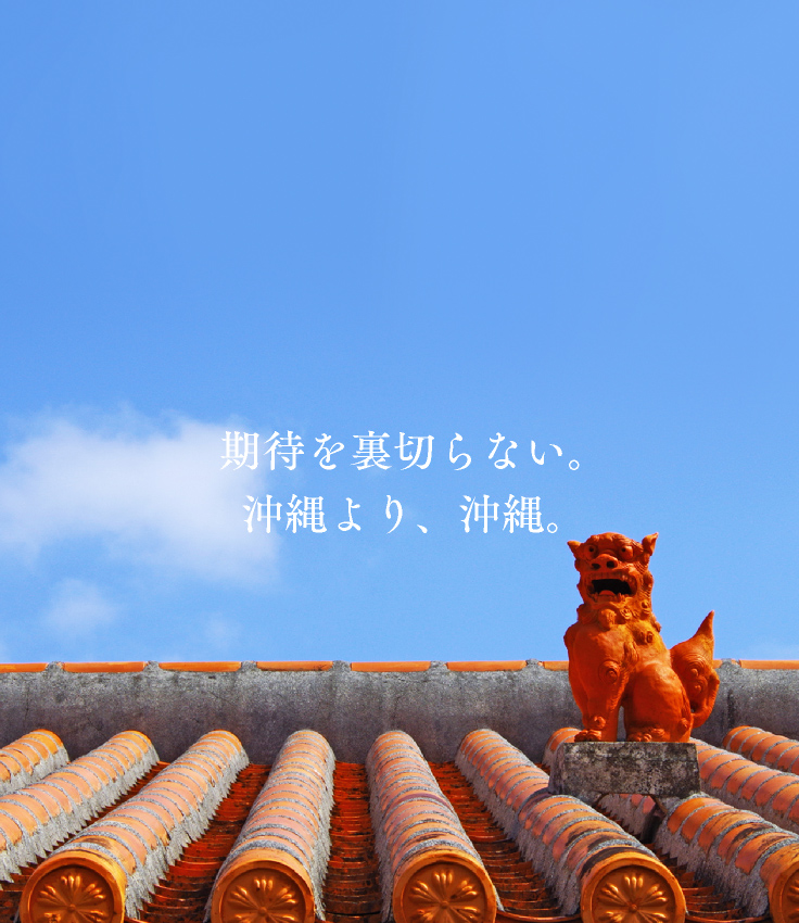 期待を裏切らない。沖縄より沖縄。